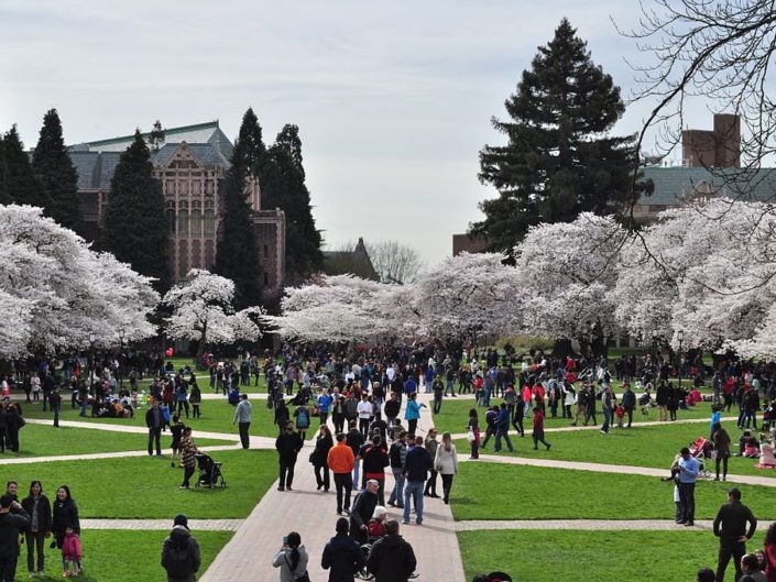 Students walking to class through an outside common area at the University of Washington.